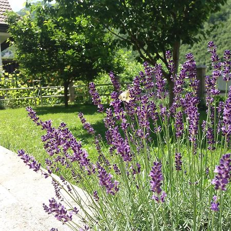 Kuca Lavanda Dreznjak Dış mekan fotoğraf