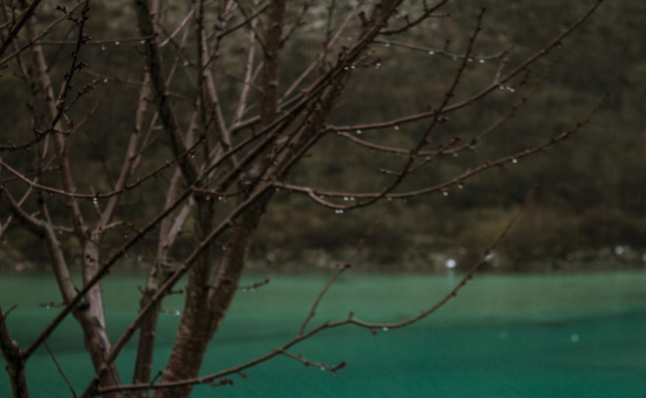 Kuca Lavanda Dreznjak Dış mekan fotoğraf