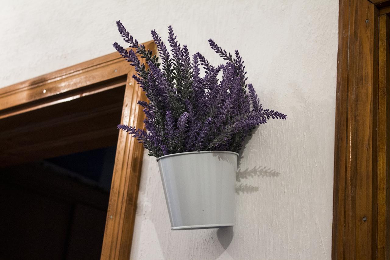 Kuca Lavanda Dreznjak Dış mekan fotoğraf