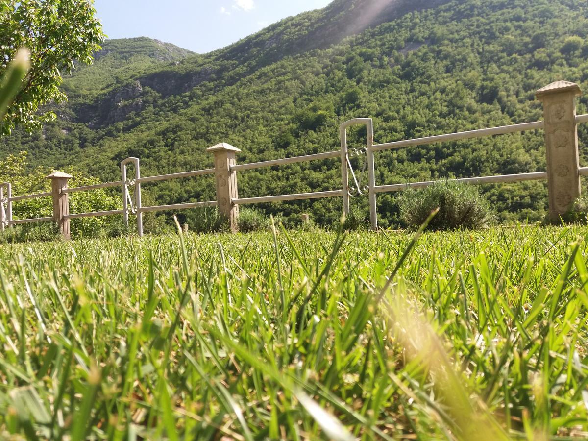 Kuca Lavanda Dreznjak Dış mekan fotoğraf