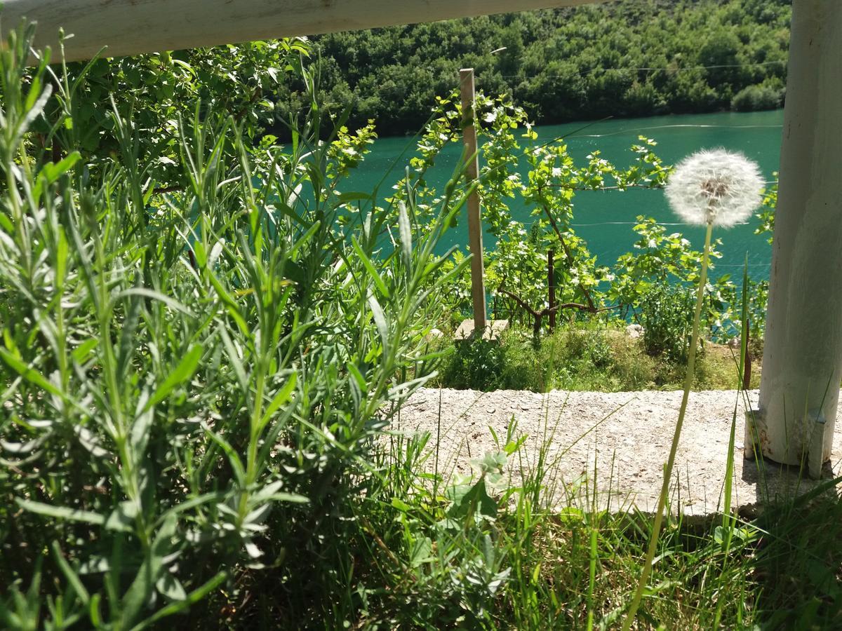 Kuca Lavanda Dreznjak Dış mekan fotoğraf