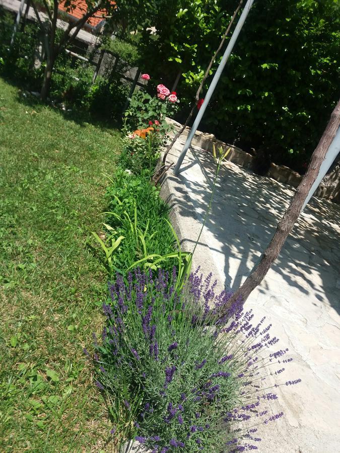 Kuca Lavanda Dreznjak Dış mekan fotoğraf