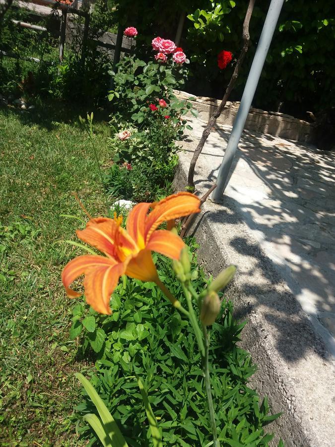 Kuca Lavanda Dreznjak Dış mekan fotoğraf