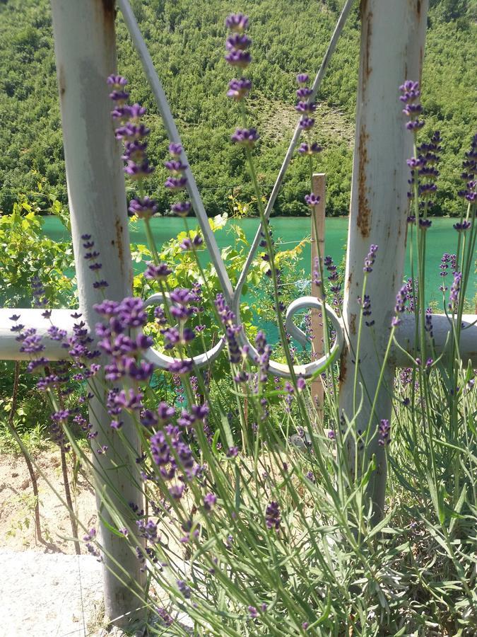 Kuca Lavanda Dreznjak Dış mekan fotoğraf