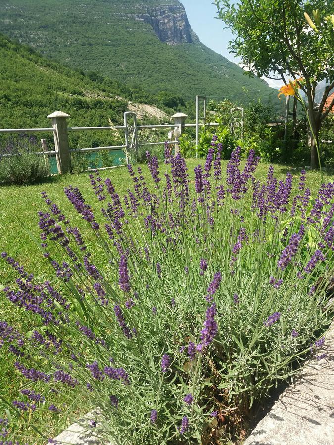 Kuca Lavanda Dreznjak Dış mekan fotoğraf