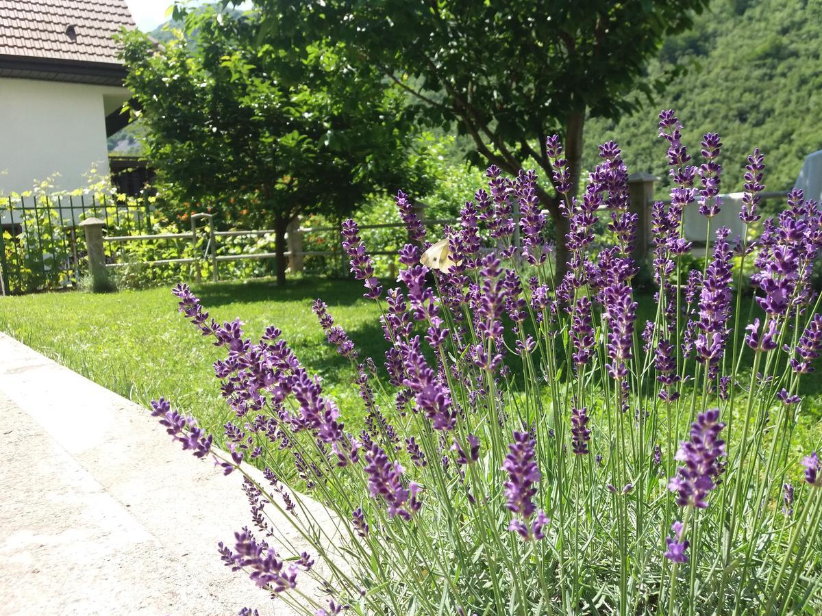 Kuca Lavanda Dreznjak Dış mekan fotoğraf